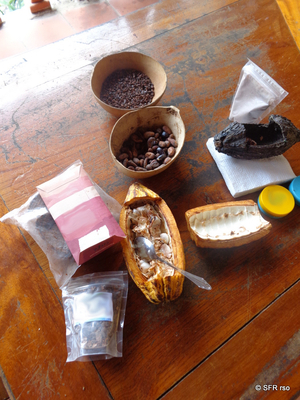 Schokoladenherstellung in Peru