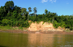 Fluss Urwald Peru