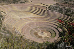 Moray Terrassen Peru